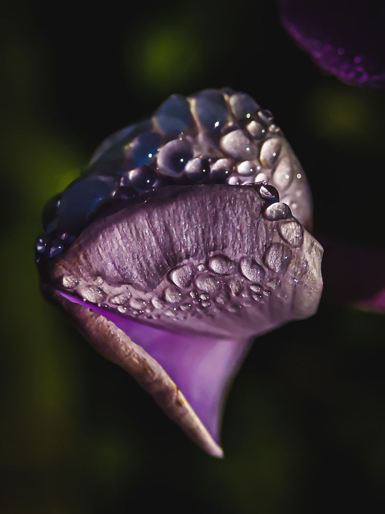 Photograph by Юлия