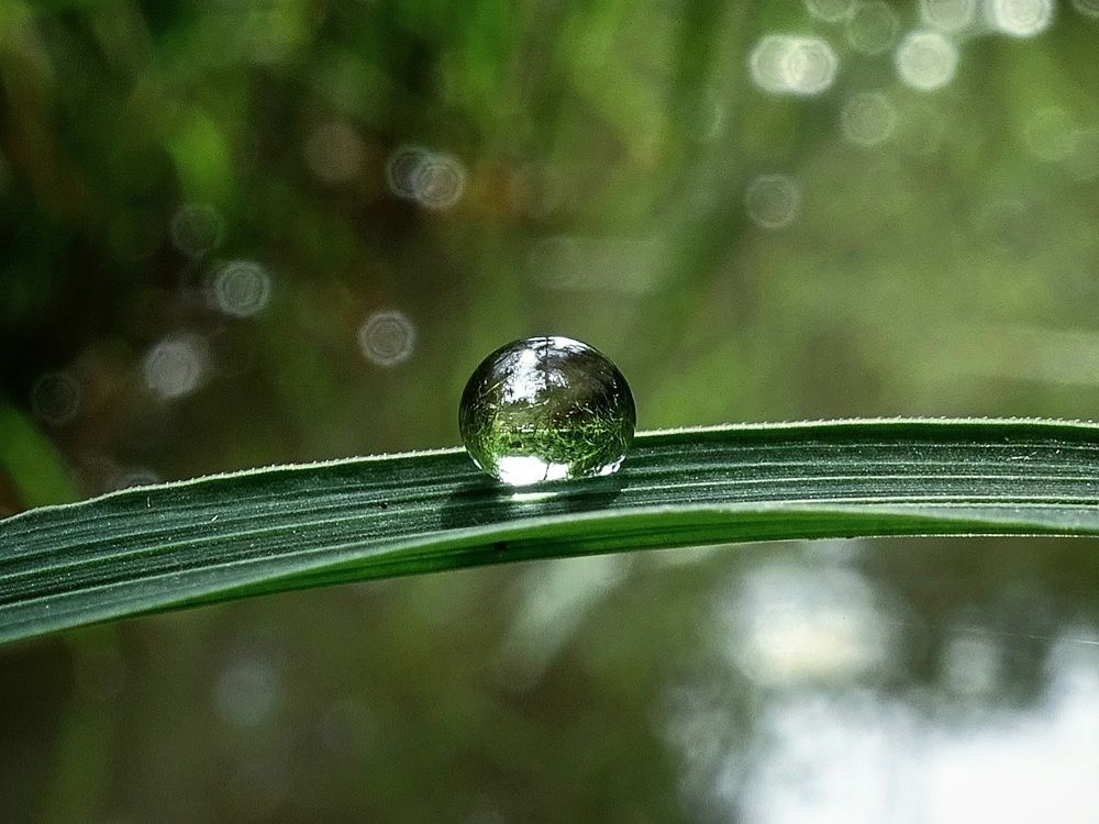 Одна, совсем одна.