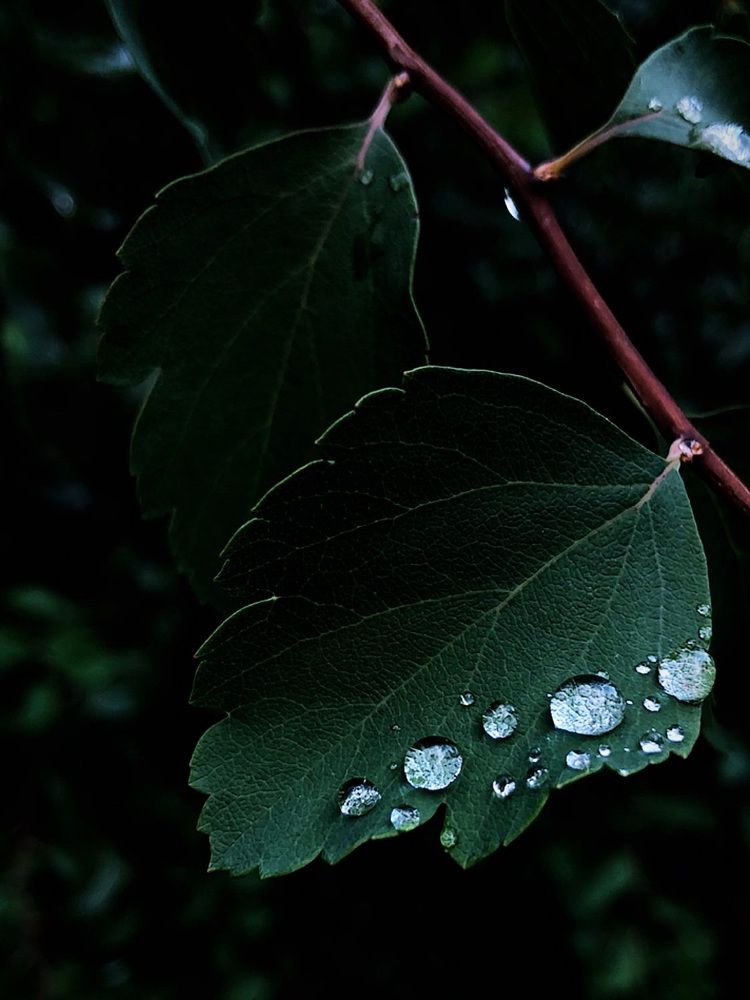 Photograph by Анастасия Короленко