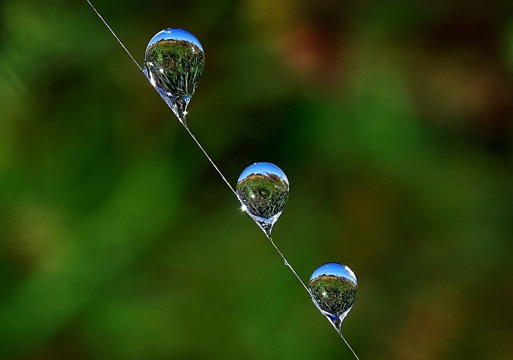 Капельная троица.