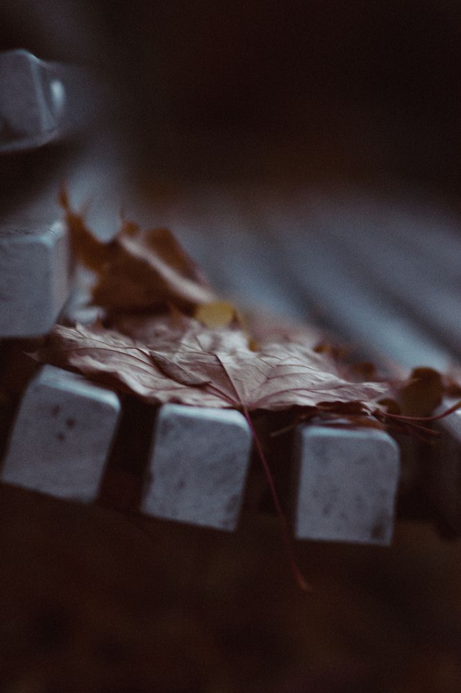 Photograph by Людмила Подольская