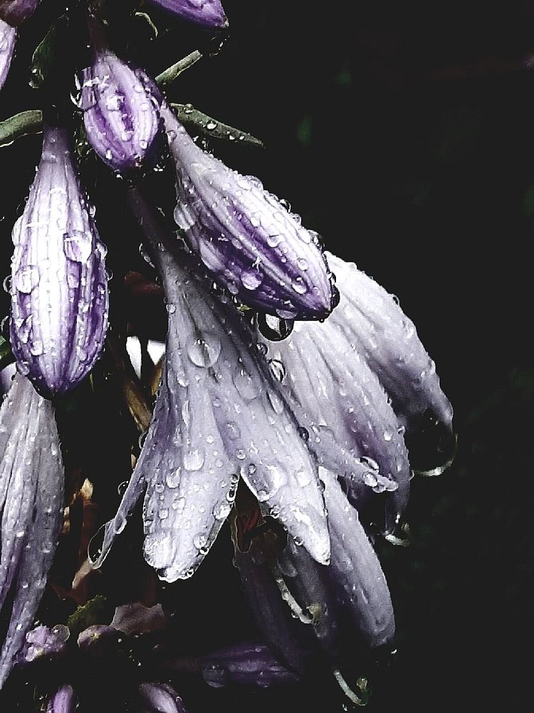 Photograph by Olga Александрова