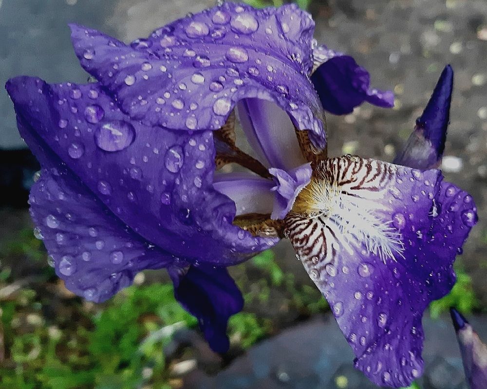 Photograph by Olga Александрова