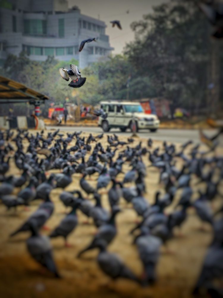 Photograph by Venkatesh Rao