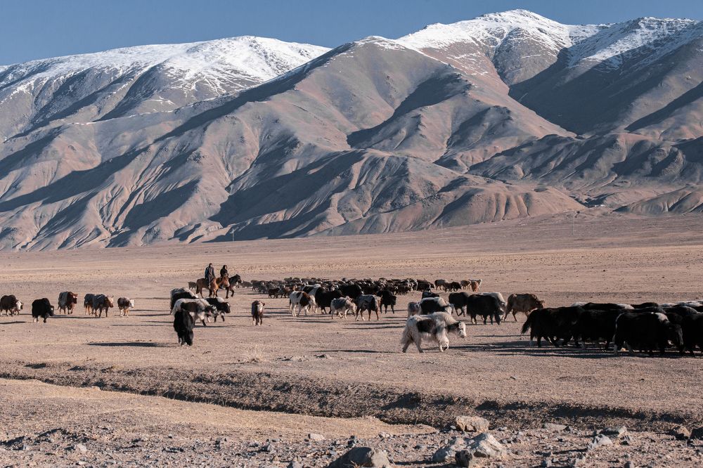 Photograph by Елена Павлова