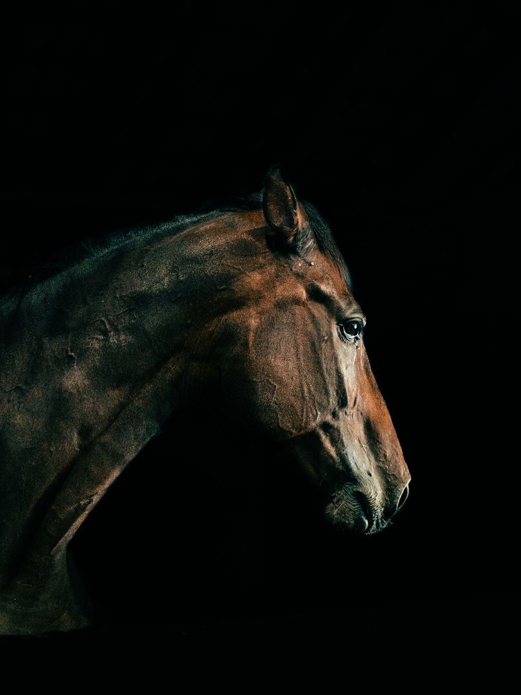 Photograph by Katherine Erlich