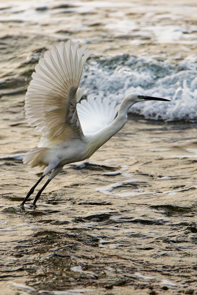 Photograph by Katherine Erlich