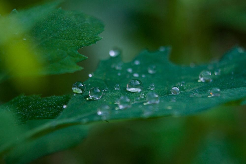 Photograph by Владислав Капанов