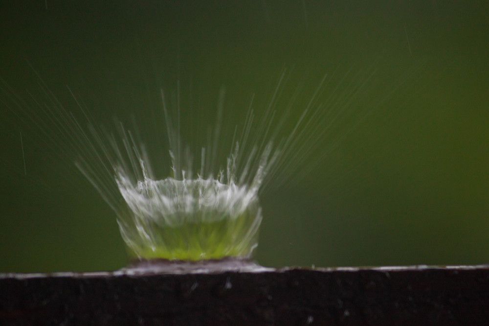 Photograph by Владислав Капанов