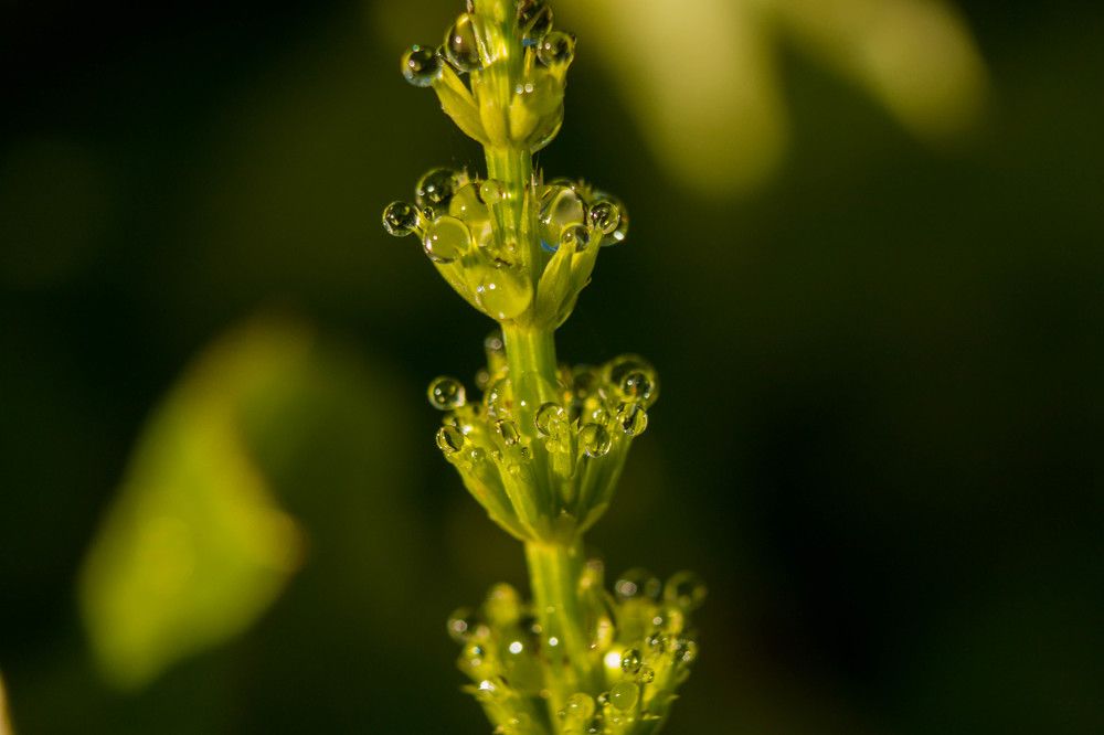Photograph by Владислав Капанов