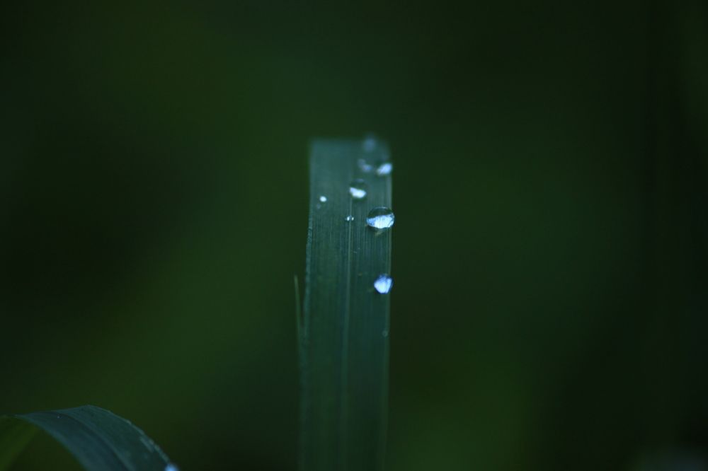 Photograph by Владислав Капанов