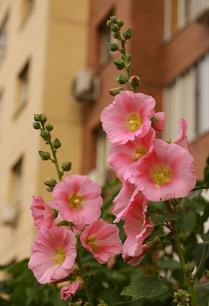 Photograph by Гагик Саркисян