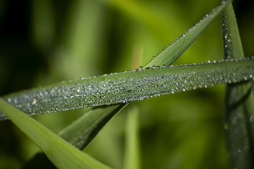 Photograph by Владислав Капанов
