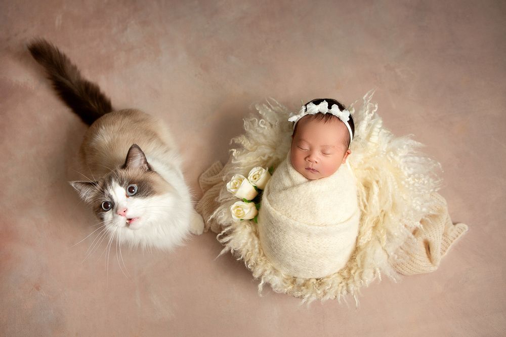 Photograph by Karina Koba