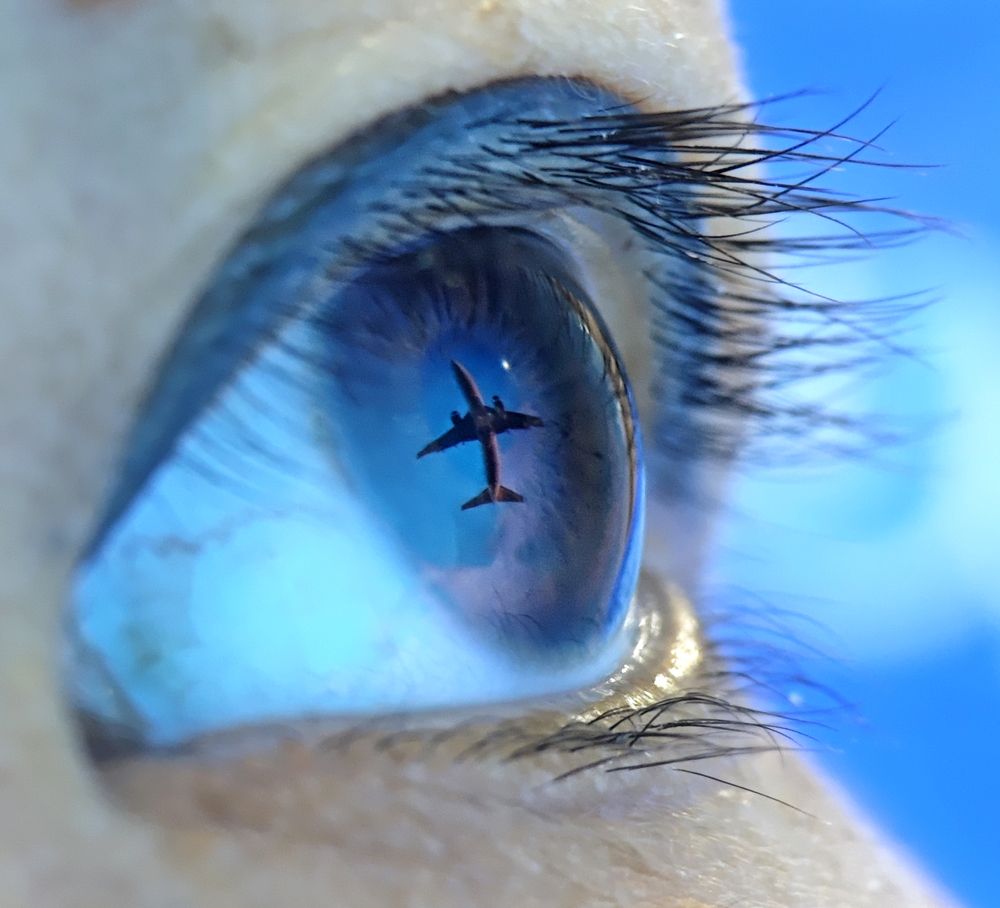 Photograph by Ba Hung Do