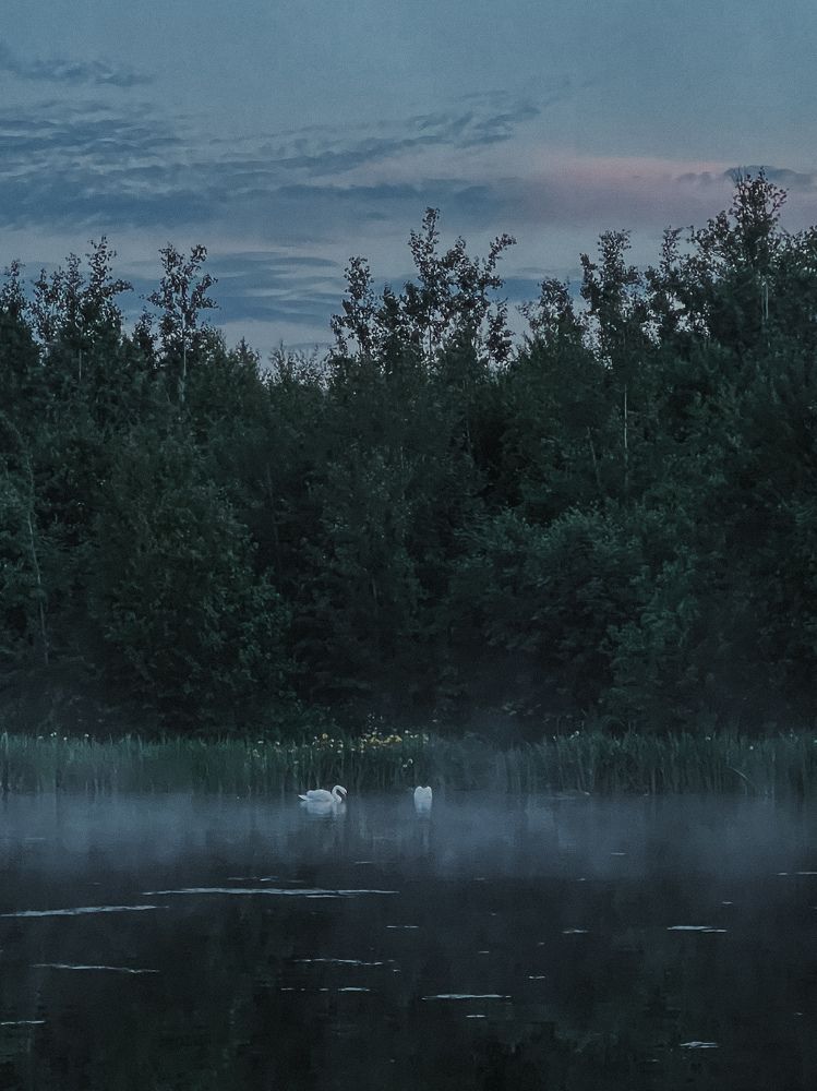 Photograph by Мария Сорокина