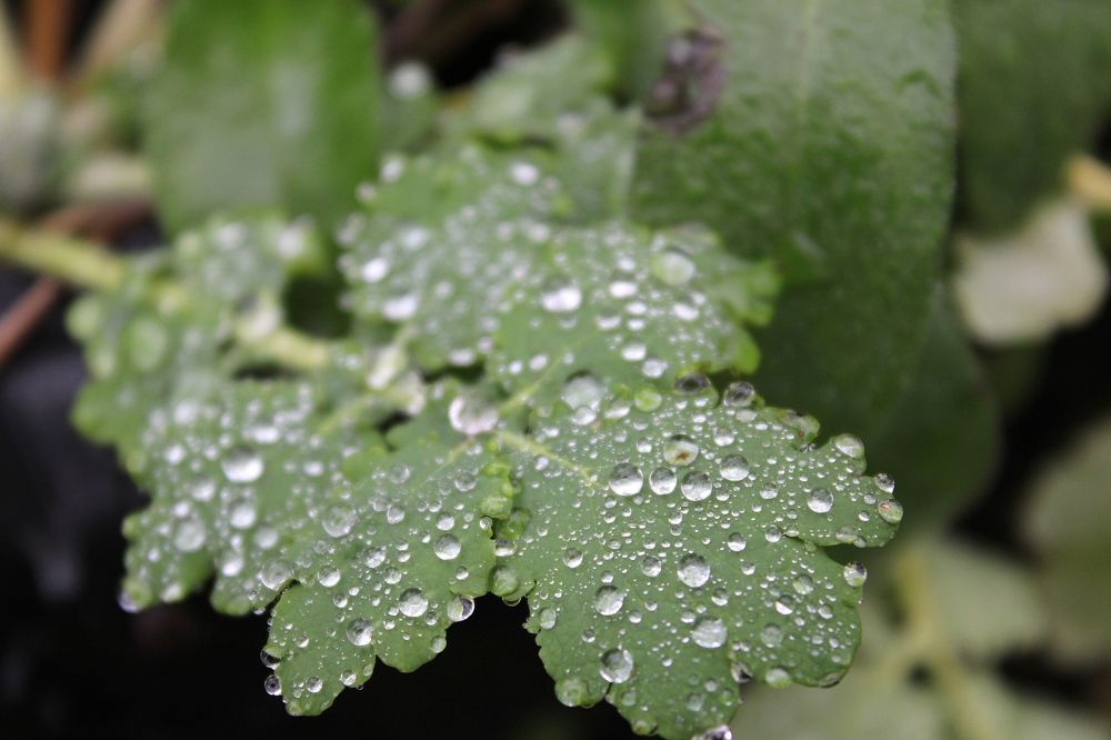 Photograph by Olga Bagaeva