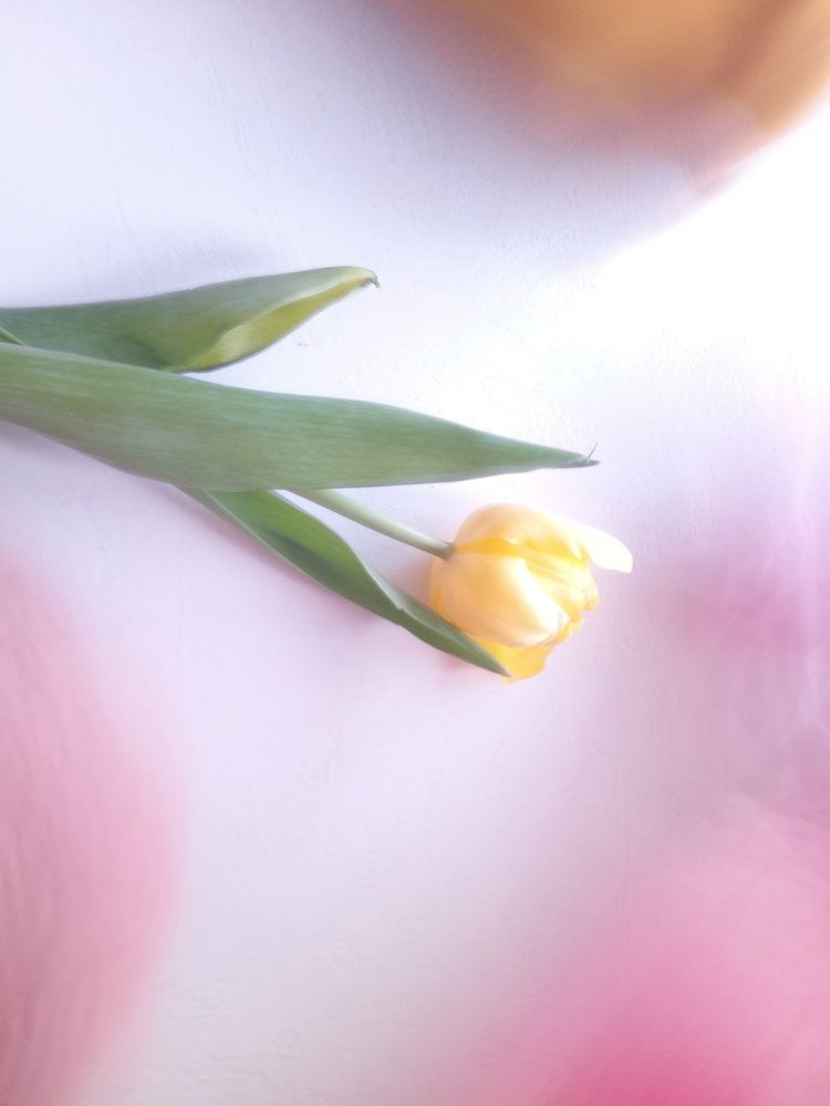 Photograph by Людмила Мелашич