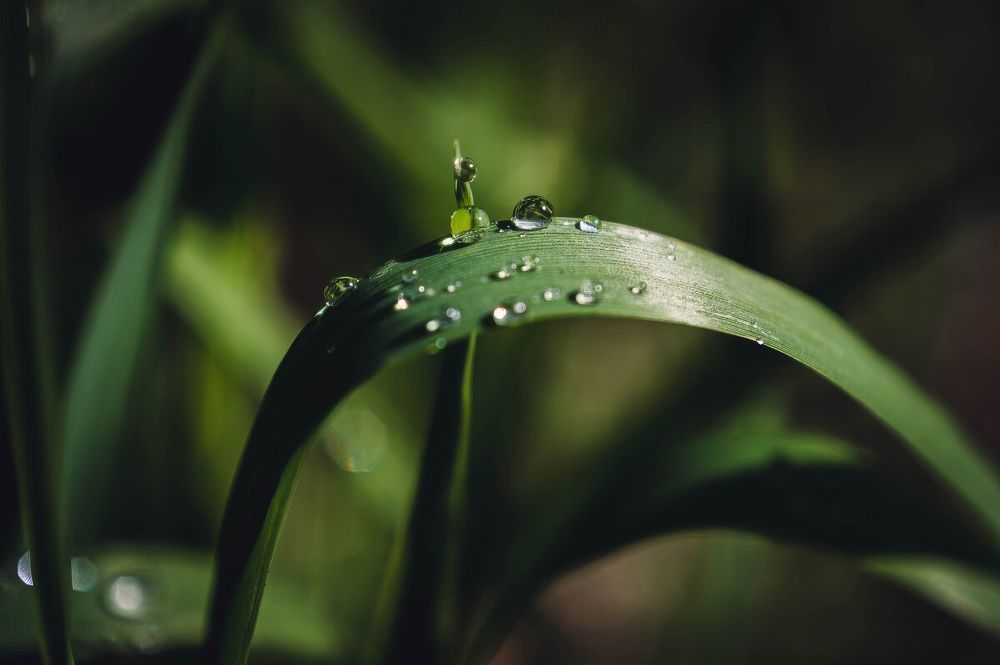 Photograph by Вадим Басов