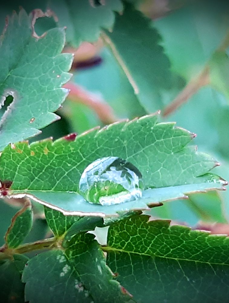 Photograph by Екатерина