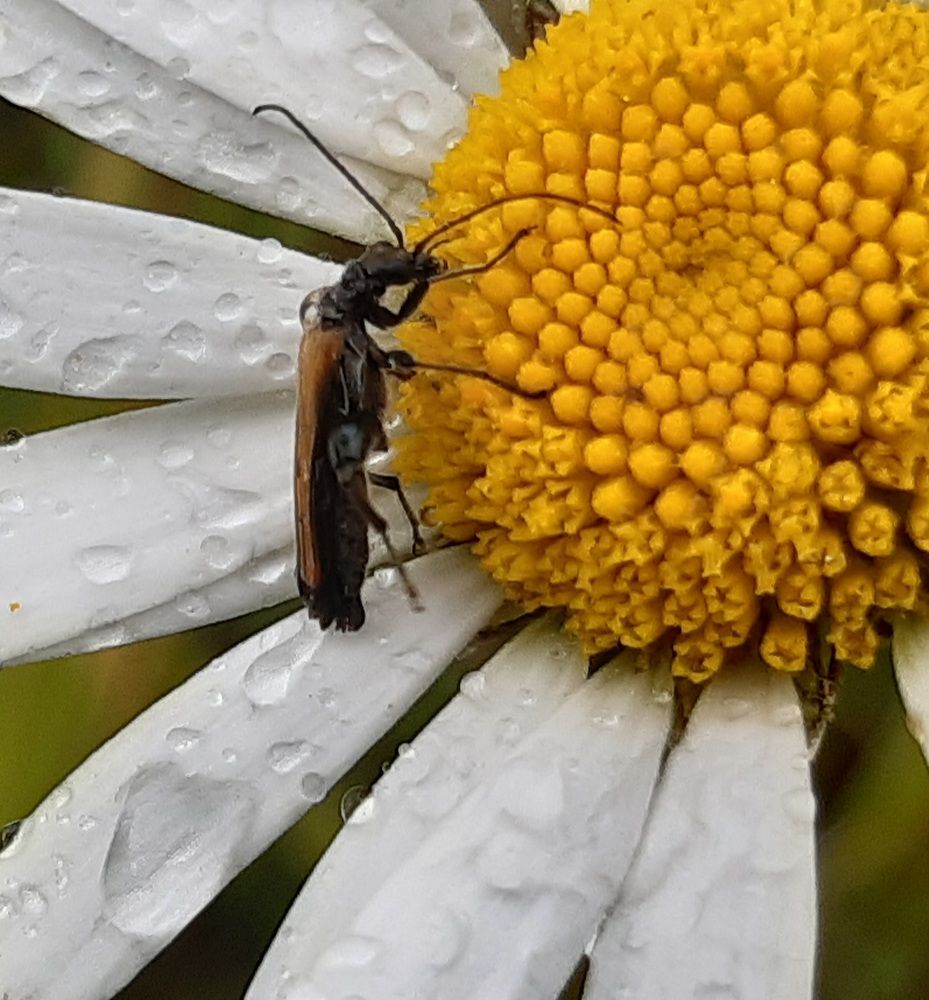 Photograph by Екатерина