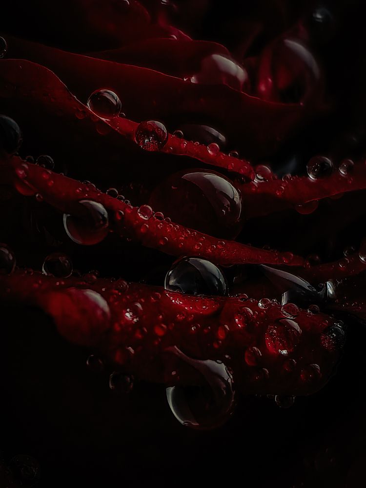 Photograph by Yuliya Karpova