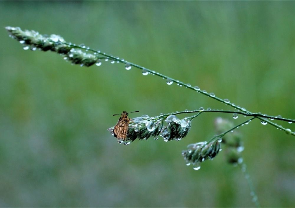 Photograph by Марина Безенкина