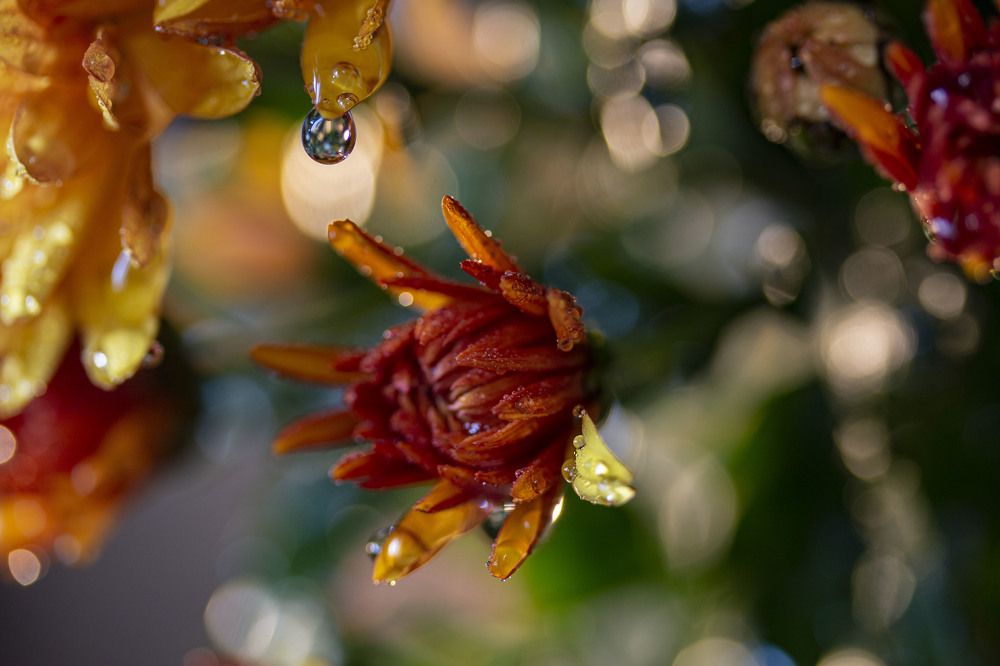 Photograph by Татьяна Панчешная