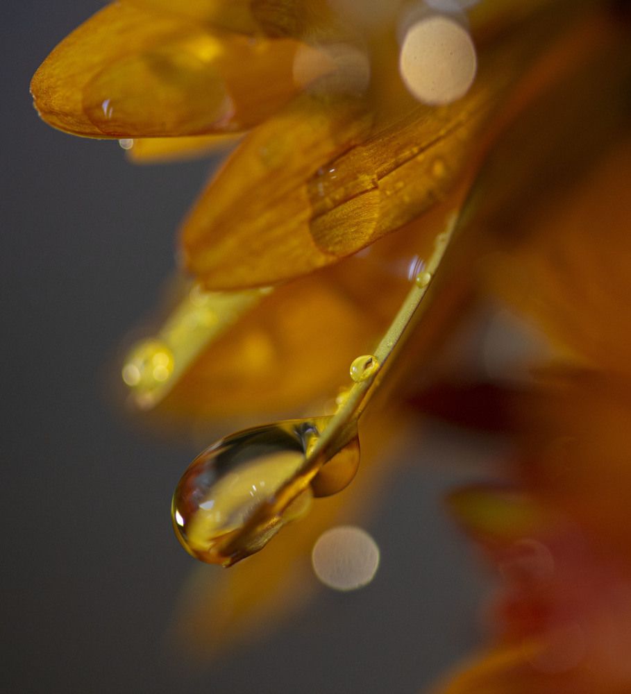 Photograph by Татьяна Панчешная