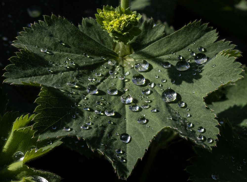 Photograph by Игорь Криулин