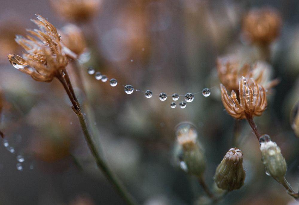 Photograph by Татьяна Панчешная