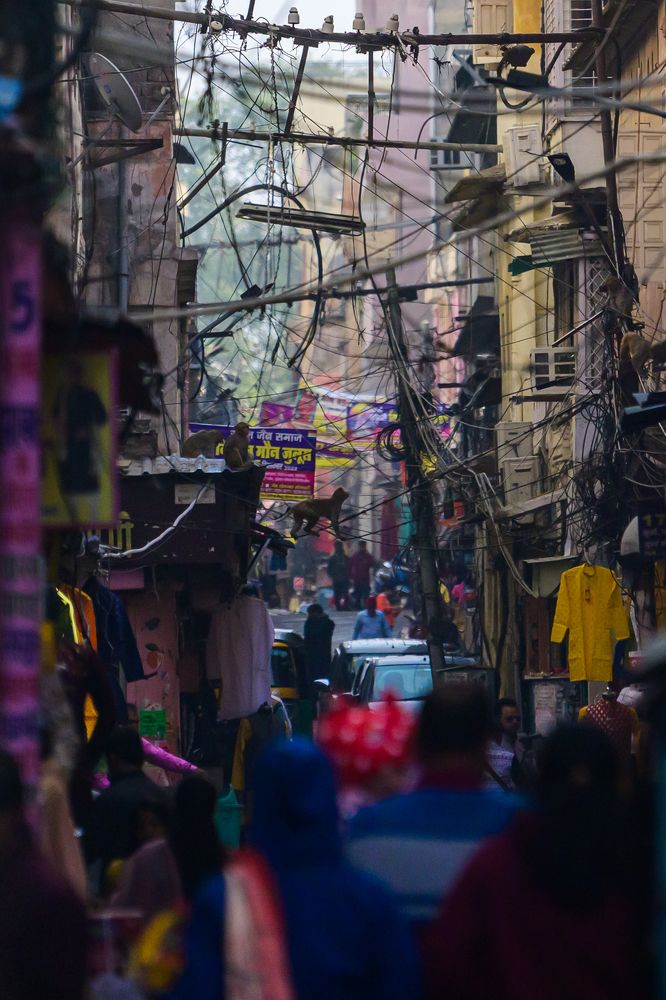 Photograph by Пупонин Сергей