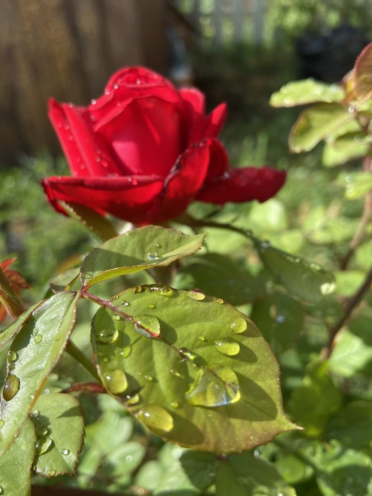 Photograph by Наталья Душакова