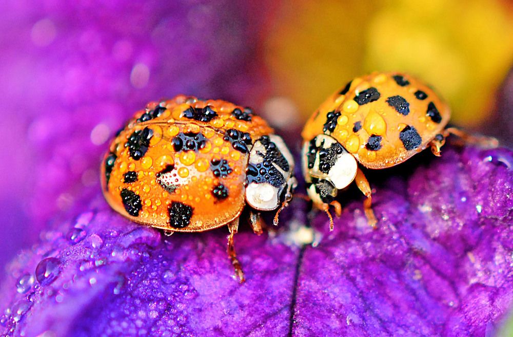 Photograph by Marjo Steffen