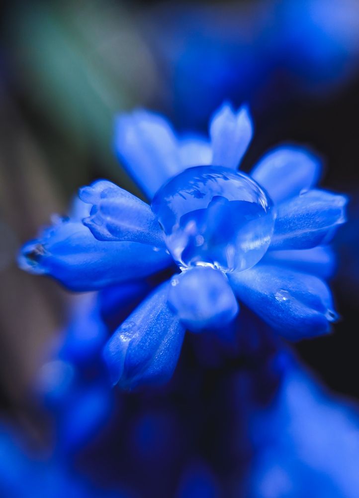 Photograph by Ирина Терентьева