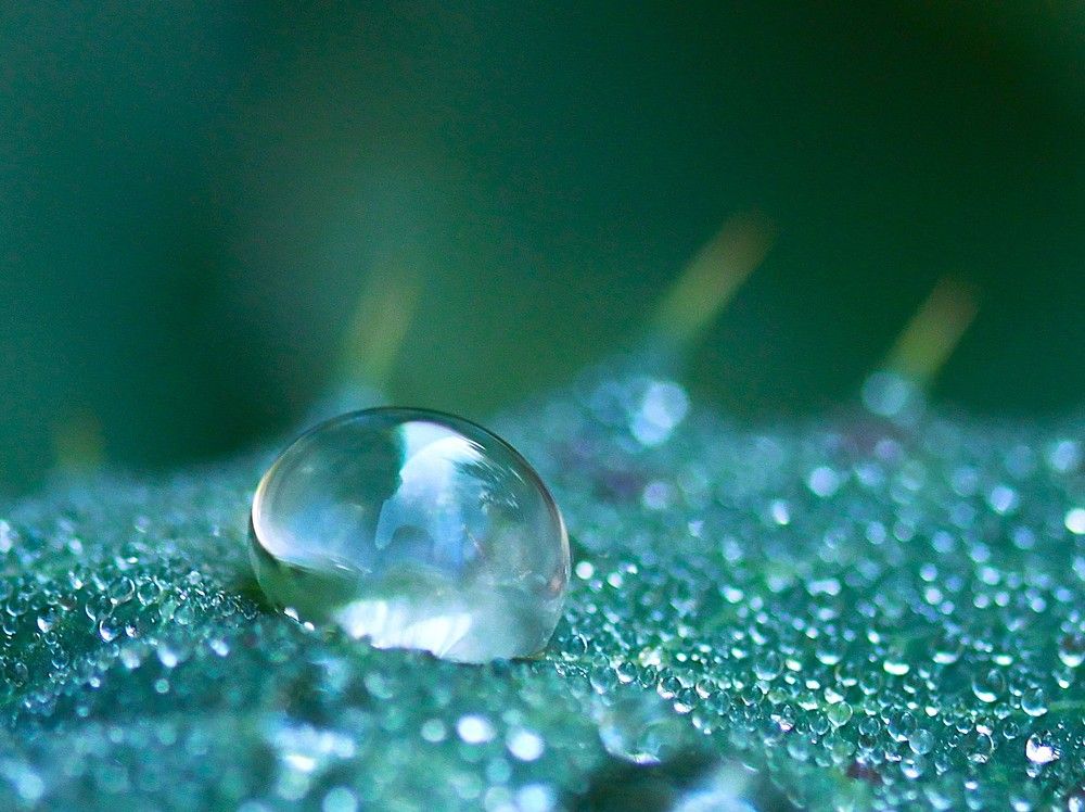 Photograph by Гагик Саркисян