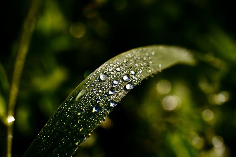 Photograph by Yana Egorova