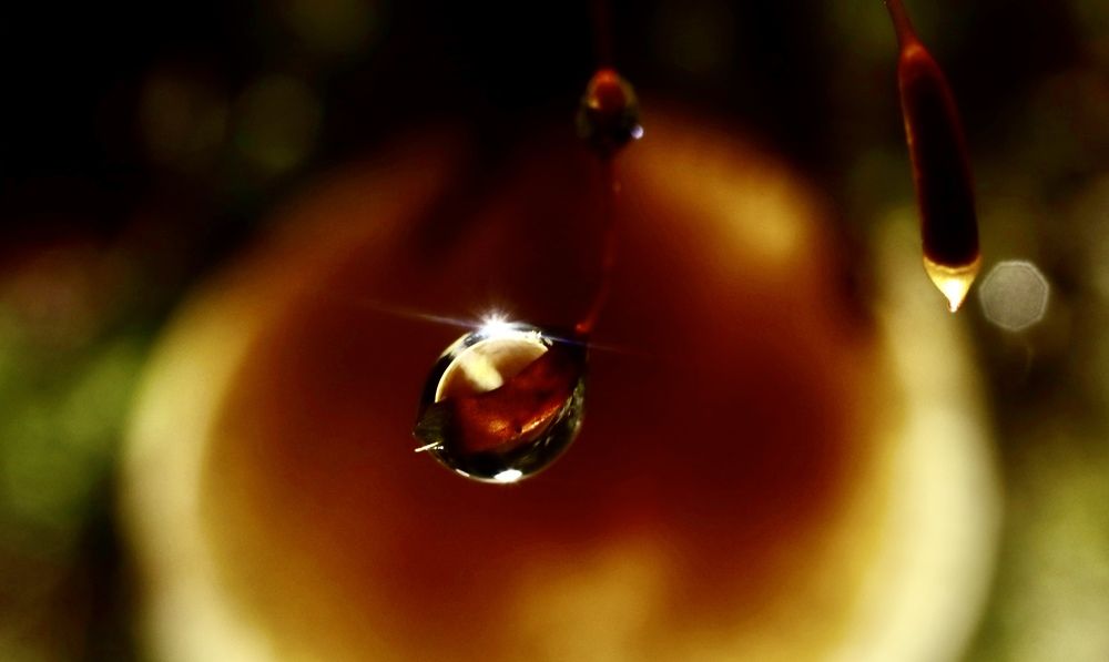 Photograph by Yana Egorova