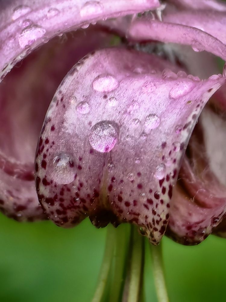 Photograph by 