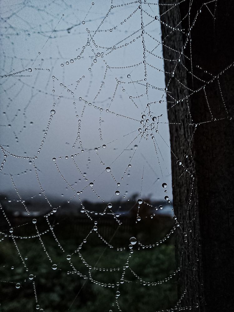 Photograph by Александра Королёва