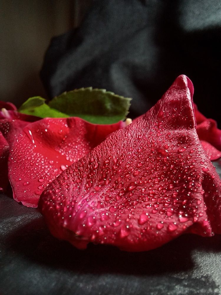 Photograph by Александра Королёва