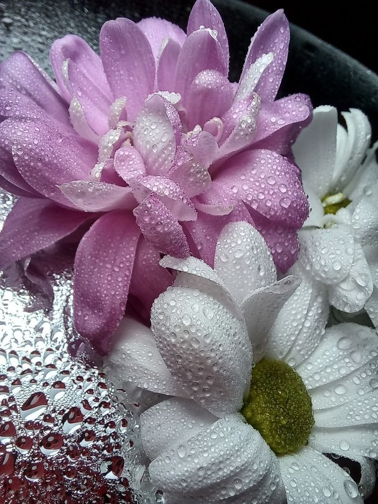 Photograph by Александра Королёва