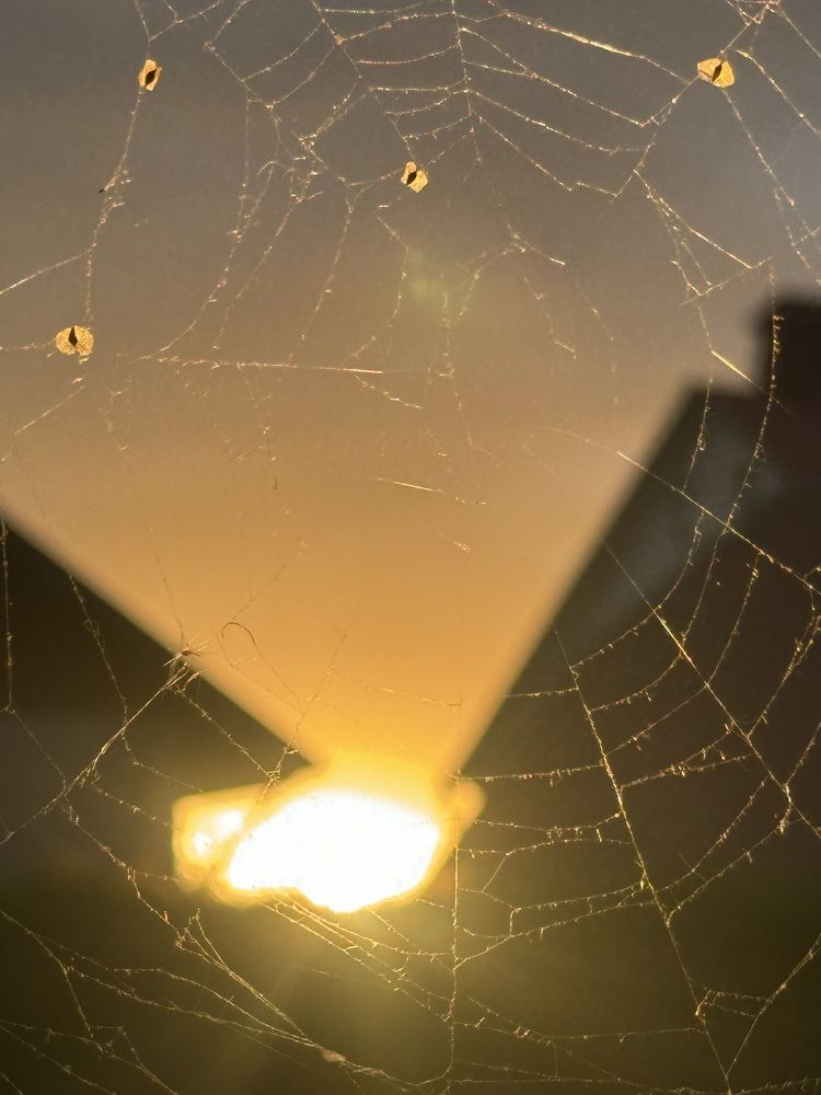 Photograph by Олеся Кузьмичева