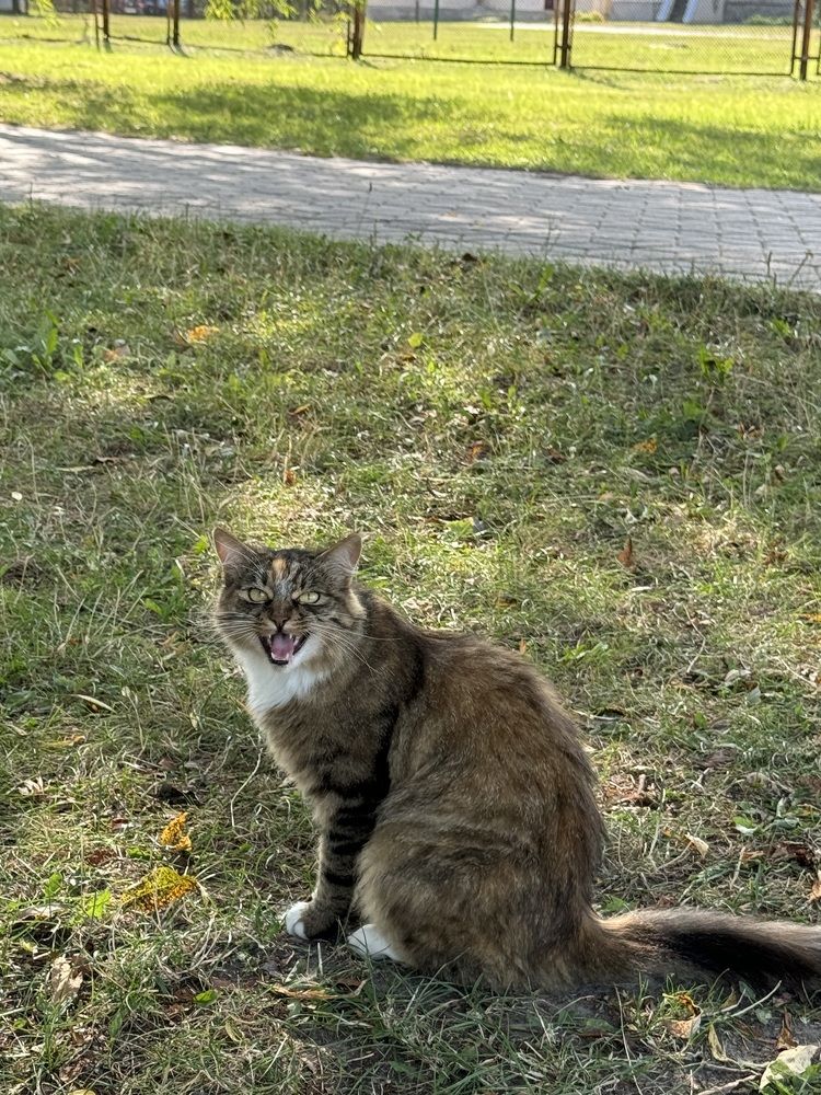 Photograph by Олеся Кузьмичева