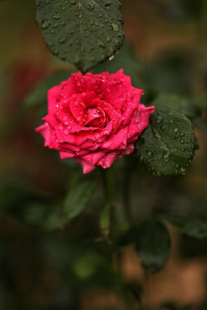 Photograph by Елена Одынец