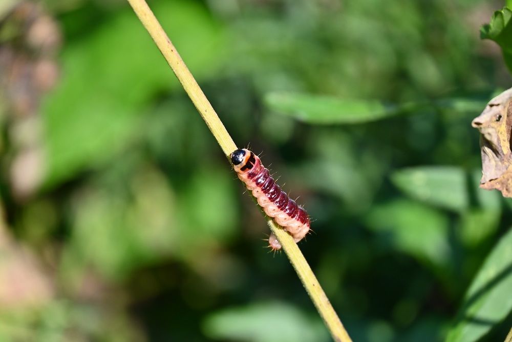 Photograph by Сергей Зубов