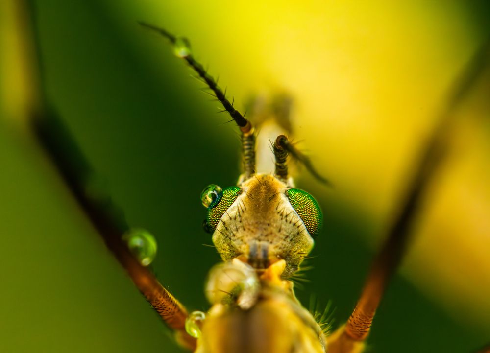 Photograph by Алексей