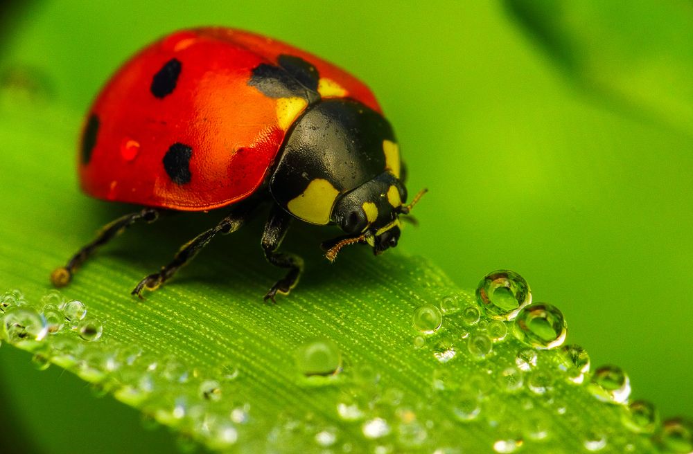 Photograph by Алексей