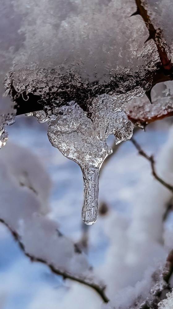 Фотография автора Юлия Якубова