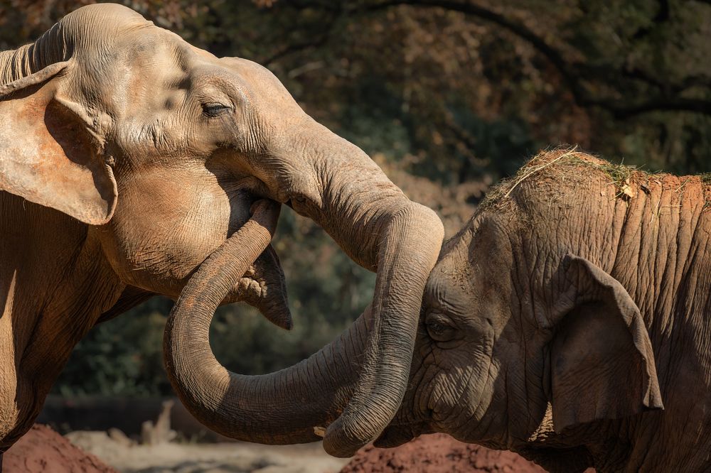 Photograph by Ni Bruce